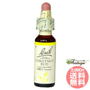 `FXgibgobh ob`t[fB s OZ XL[ mAR[ t[GbZX