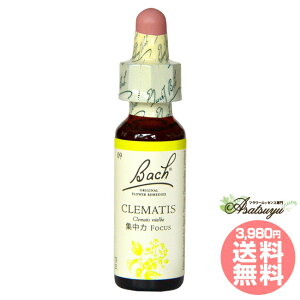 N}`X ob`t[fB W OZ XL[ mAR[ t[GbZX