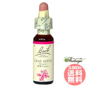 NuAbv ob`t[fB Ȍ _o OZ XL[ mAR[ t[GbZX