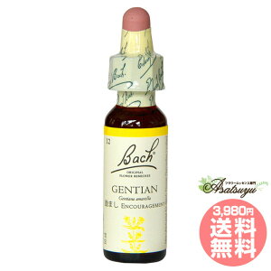 Q`Ai ob`t[fB }CiXvl OZ XL[ mAR[ t[GbZX