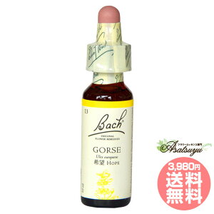 S[X ob`t[fB  OZ XL[ mAR[ t[GbZX