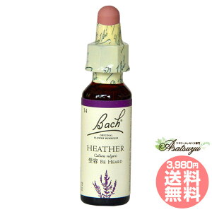 wU[ ob`t[fB v ȒSI OZ XL[ mAR[ t[GbZX