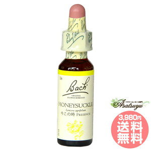 nj[TbN ob`t[fB gE} OZ XL[ mAR[ t[GbZX