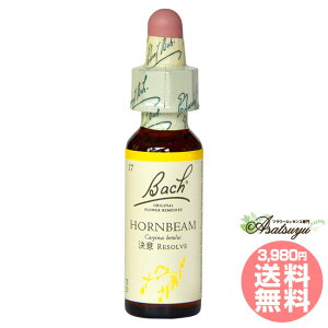 z[r[ ob`t[fB C OZ XL[ mAR[ t[GbZX