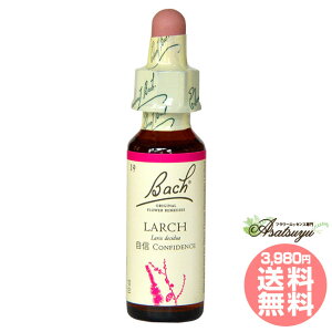 [` ob`t[fB M 򓙊 OZ XL[ mAR[ t[GbZX