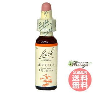 ~X ob`t[fB |  s EC OZ XL[ mAR[ t[GbZX