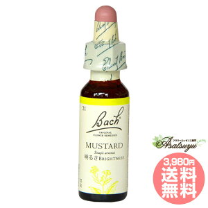 }X^[h ob`t[fB JT ߂ OZ XL[ mAR[ t[GbZX