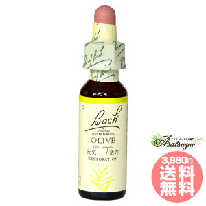 I[u ob`t[fB GlM[ s  OZ XL[ mAR[ t[GbZX