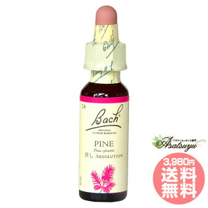 pC ob`t[fB ߐӊ  ӂ̔O OZ XL[ mAR[ t[GbZX