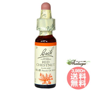 bh`FXgibg ob`t[fB Sz OZ XL[ mAR[ t[GbZX