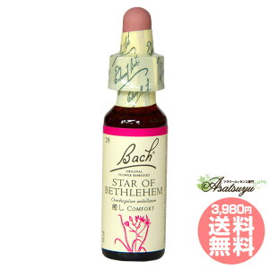 X^[Iuxcw ob`t[fB gE} VbN OZ XL[ mAR[ t[GbZX