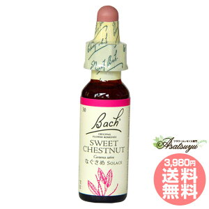 XB[g`FXgibg ob`t[fB  䖝 OZ XL[ mAR[ t[GbZX