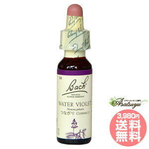 EH[^[oCIbg ob`t[fB lԊ֌W M OZ XL[ mAR[ t[GbZX