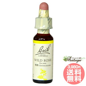 Ch[Y ob`t[fB ] ] l OZ XL[ mAR[ t[GbZX