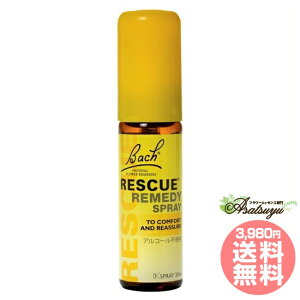 XL[Xv[ 20ml ob`t[fB XL[V[Y mAR[ t[GbZX