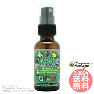 �n�[���j�A�X���[�_�[�V�b�v FES�t�����[�G�b�Z���X ���T�[�`�R���r�l�[�V�����G�b�Z���X �t�����[�G�b�Z���X