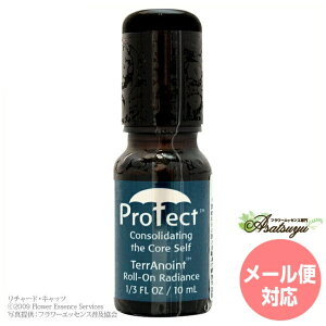 �v���e�N�g FES�t�����[�G�b�Z���X �e���m�C���g���[���I�� �t�����[�G�b�Z���X