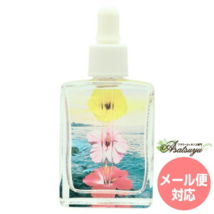 nCrXJXTCYnCARrl[VGNV[ t[Ri Rrl[VGNV[ t[GbZX