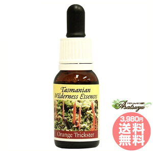 IWgbNX^[GbZX q}GnT[Y ^X}jAEB_lXGbZX t[GbZX