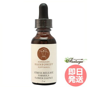 XgX[XtH[~ nCAECEtHXgEi`Y t[GbZX