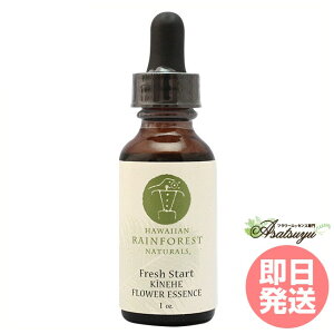 Llw tbVX^[g nCAECEtHXgEi`Y t[GbZX