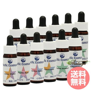 t[GbZX 2 S12{ pVtBbNGbZX t[GbZX 2 t[GbZX