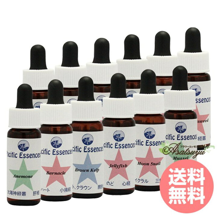 楽天市場】シーエッセンス 4 全12本 パシフィックエッセンス シー 