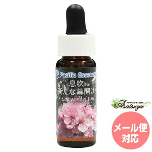 ���� �`�V���Ȗ��J���` A New World of Hope �p�V�t�B�b�N�G�b�Z���X ���̑��G�b�Z���X �t�����[�G�b�Z���X