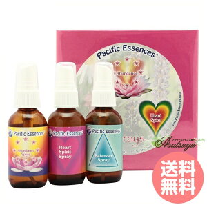 Xv[MtgBOX pVtBbNGbZX ̑ t[GbZX