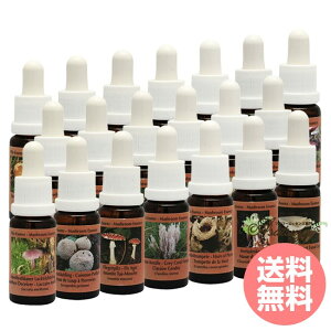 }bV[ ̂ S20{ RePHIGbZX }bV[ ̂ GbZX t[GbZX