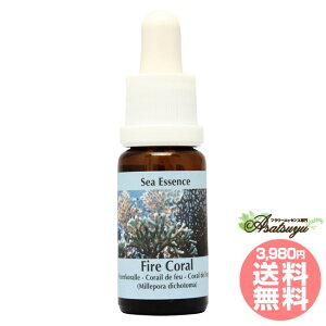 �t�@�C�A�[�R�[���� Fire Coral �R���ePHI�G�b�Z���X �V�[�G�b�Z���X �t�����[�G�b�Z���X