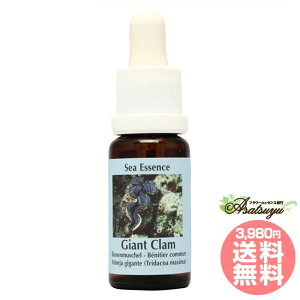 �W���C�A���g�N����Giant Clam �R���ePHI�G�b�Z���X �V�[�G�b�Z���X �t�����[�G�b�Z���X
