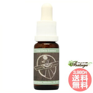 174 Indian Eagle, UK 2015 �R���ePHI�G�b�Z���X �N���b�v�T�[�N���G�b�Z���X �t�����[�G�b�Z���X