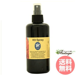 K9�X�v���[ 200ml �R���ePHI�G�b�Z���X �X�v���[ �t�����[�G�b�Z���X