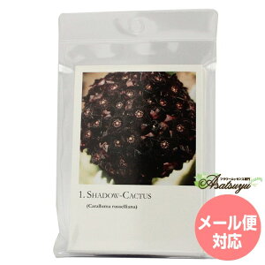 JN^XV[YJ[h S20 RePHIGbZX ̑ t[GbZX