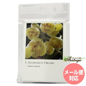 I[LbhV[YJ[h S20 RePHIGbZX ̑ t[GbZX