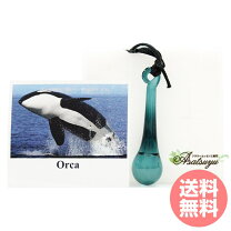 楽天市場】コルテ エッセンス イルカ ペンダントの通販