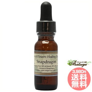 �X�i�b�v�h���S�� �p���[�I�u�t�����[�q�[�����O ���̑��V���O���G�b�Z���X �t�����[�G�b�Z���X