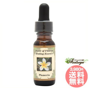 vA Plumeria p[Iut[q[O ̑VOGbZX t[GbZX