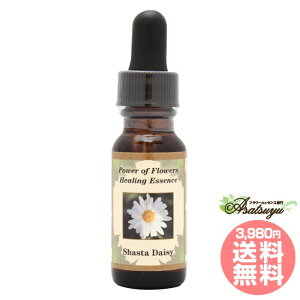 �V���X�^�f�C�W�[ Shasta Daisy �p���[�I�u�t�����[�q�[�����O ���̑��V���O���G�b�Z���X �t�����[�G�b�Z���X