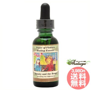 �r���[�e�B�[���r�[�X�g Beauty and the Beast �p���[�I�u�t�����[�q�[�����O �`���h�����u�����h �t�����[�G�b�Z���X