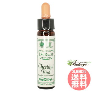�`�F�X�g�i�b�g�o�b�h Chestnut Bud �G�C���Y���[�X�����f�B �G�b�Z���X �t�����[�G�b�Z���X