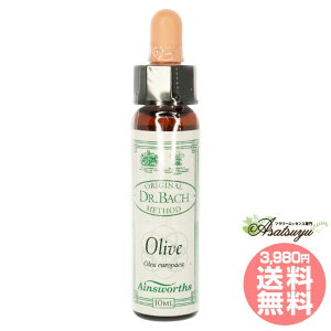 �I���[�u Olive �G�C���Y���[�X�����f�B �G�b�Z���X �t�����[�G�b�Z���X