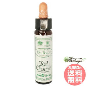 ���b�h�`�F�X�g�i�b�g Red Chestnut �G�C���Y���[�X�����f�B �G�b�Z���X �t�����[�G�b�Z���X