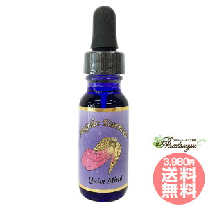 242 NCGbg}Ch Quiet Mind AWFbNGbZX t[GbZX