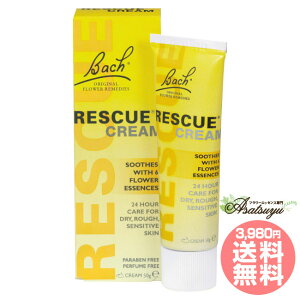 XL[N[ 50g ob`t[fB XL[V[Y t[GbZX