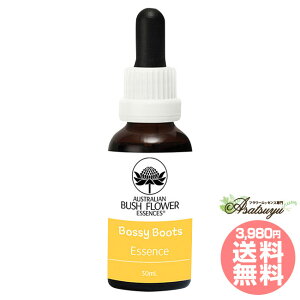 �{�b�V�[�u�[�c Bossy Boots ���΂��ڂ��̎q�ǂ��� �I�[�X�g�����A���u�b�V�� �y�A�����e�B���O���`���C���h�P�A �t�����[�G�b�Z���X
