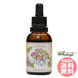 ランタナ Waltz シャンドゥルール 奄美大島の四季 フラワーエッセンス