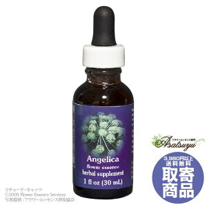 �A���W�F���J 30ml FES�t�����[�G�b�Z���X �N�C���g�G�b�Z���X ���� �L�����Z���s�� �t�����[�G�b�Z���X