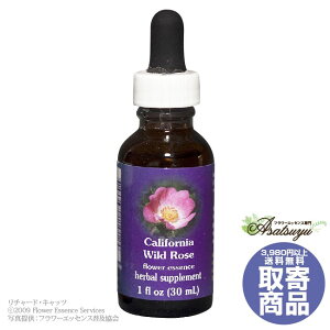 �J���t�H���j�A���C���h���[�Y 30ml FES�t�����[�G�b�Z���X �N�C���g�G�b�Z���X ���� �L�����Z���s�� �t�����[�G�b�Z���X